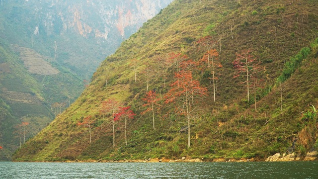 Choáng ngợp vẻ đẹp như tiên cảnh của sông Nho Quế Hà Giang mùa hoa gạo